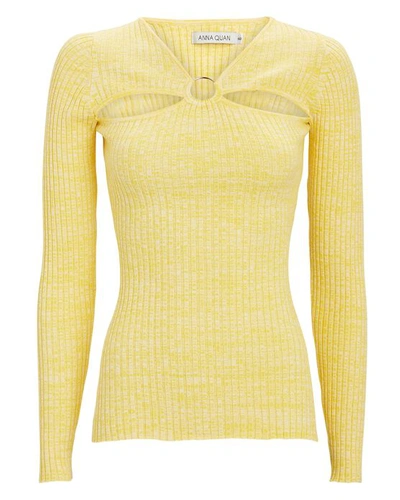 Shop Anna Quan Laila Rib Knit Cut-out Top In Yellow