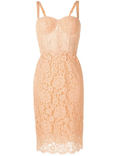 Shop Dolce & Gabbana Floral Lace Bustier Dress In Orange