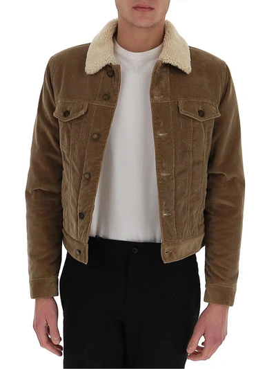 Shop Saint Laurent Shearling Collar Button In Brown