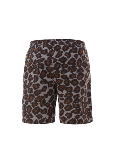 Shop Nanushka Leopard Print Shorts In Brown