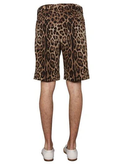 Shop Dolce & Gabbana Printed Bermuda In Animalier