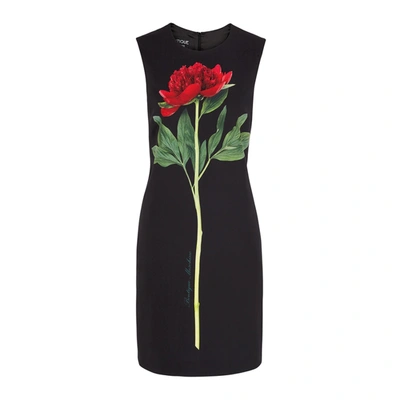 Shop Boutique Moschino Black Rose-print Dress In Black And Red