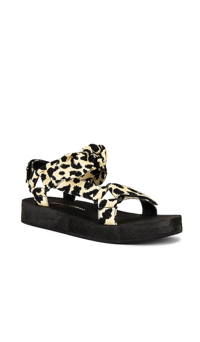 Shop Loeffler Randall Maisie Sporty Sandal In Leopard
