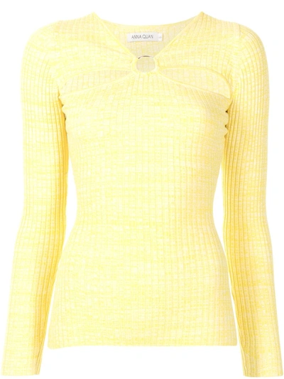 Shop Anna Quan Laila Cut-out Knitted Top In Yellow