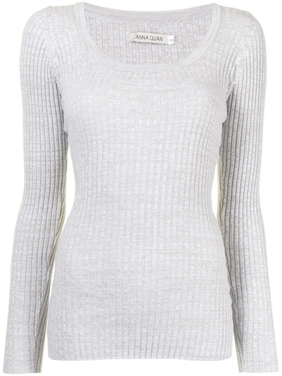Shop Anna Quan Saffi Ribbed-knit Top In Grey