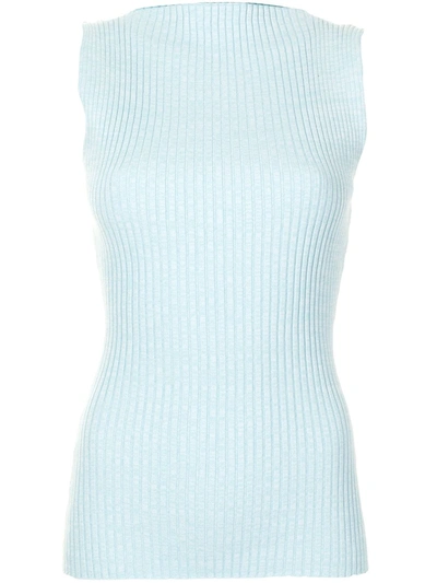 Shop Anna Quan Rib-knit Sleeveless Top In Blue