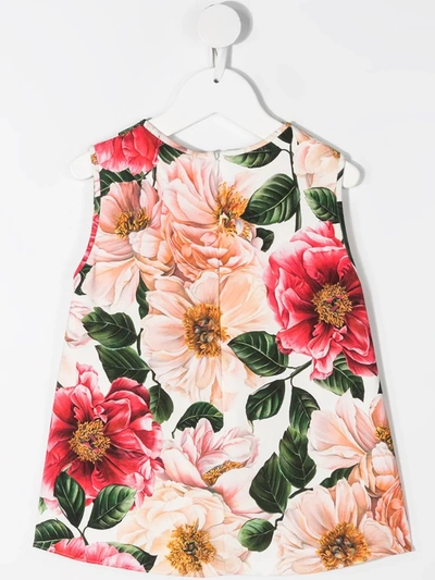 Shop Dolce & Gabbana Floral-print Dress In Pink