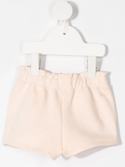 Shop Chloé Bow Detail Shorts In Pink