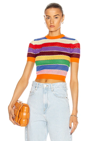 Shop Miu Miu Striped Sweater Top In Arancio