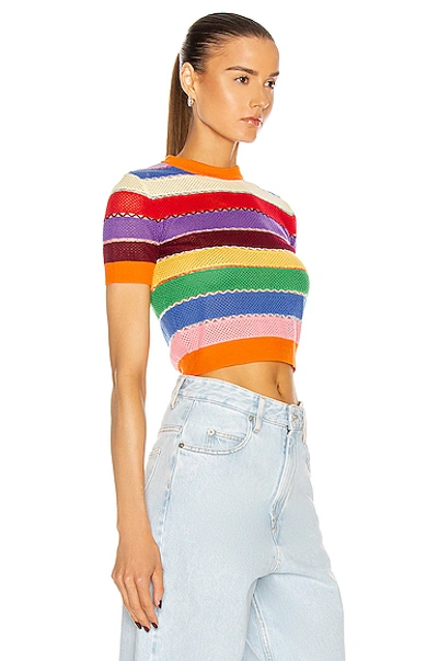 Shop Miu Miu Striped Sweater Top In Arancio
