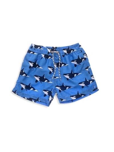 Shop Snapper Rock Little Boy's & Boy's Orca Ocean Volley Board Shorts In Blue