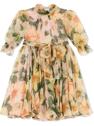 Shop Dolce & Gabbana Floral-print Dress In Pink