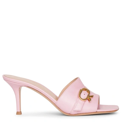Shop Gianvito Rossi Lipsia 70 Glaze Pink Sandals
