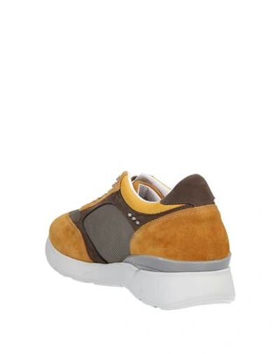 Shop Alberto Guardiani Sneakers In Ocher