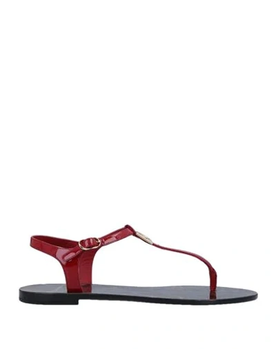 Shop Dolce & Gabbana Woman Toe Strap Sandals Red Size 4 Calfskin