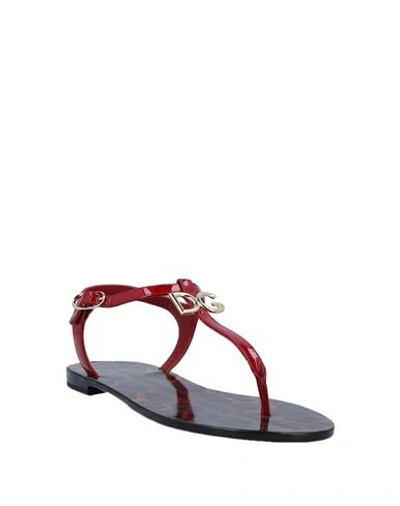 Shop Dolce & Gabbana Woman Toe Strap Sandals Red Size 4 Calfskin