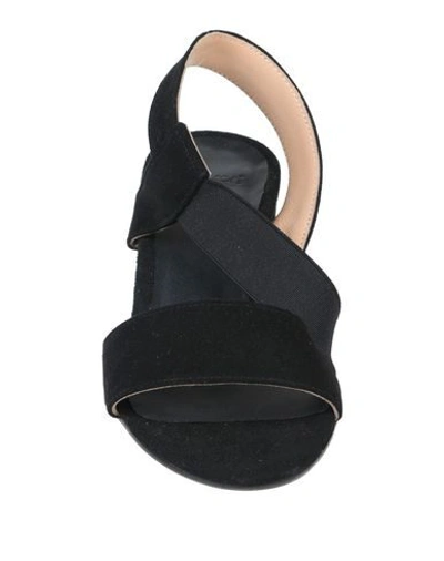 Shop Ancarani Sandals In Black