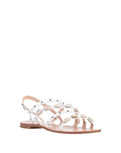 Shop Caffenero Sandals In White