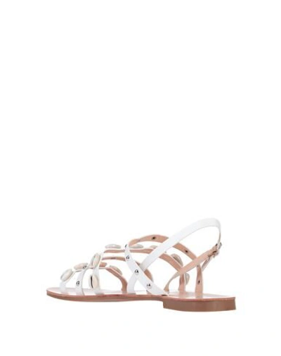 Shop Caffenero Sandals In White