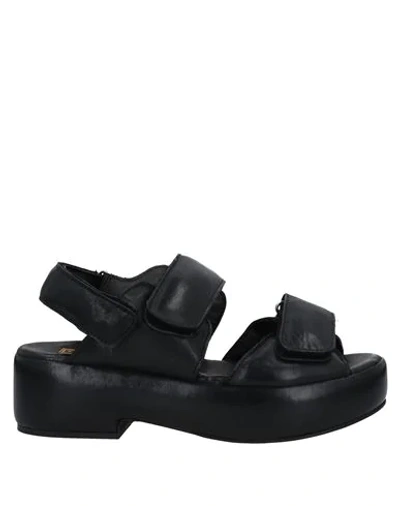 Shop Moma Woman Sandals Black Size 7 Soft Leather