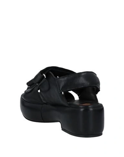 Shop Moma Woman Sandals Black Size 7 Soft Leather
