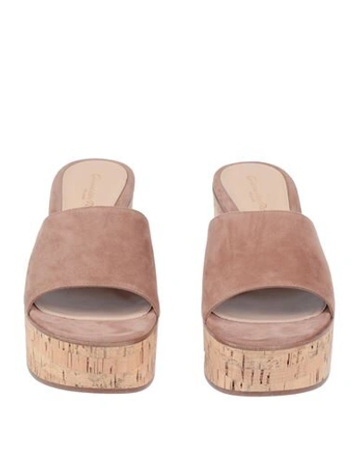 Shop Gianvito Rossi Sandals In Light Brown