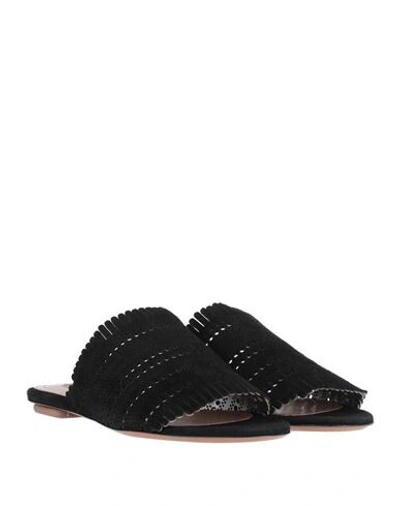 Shop Alaïa Sandals In Black