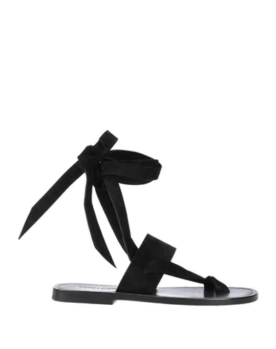 Shop Saint Laurent Toe Strap Sandals In Black