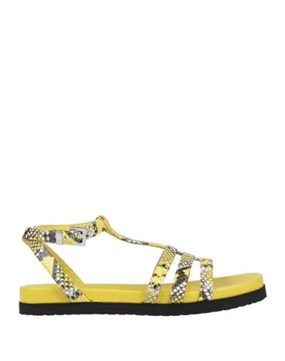 Shop Cesare Paciotti 4us Sandals In Yellow