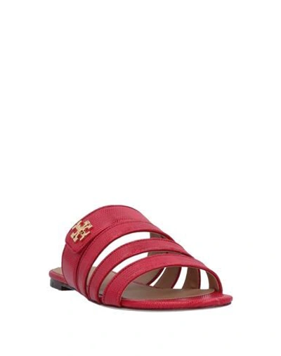 Shop Tory Burch Sandals In Red