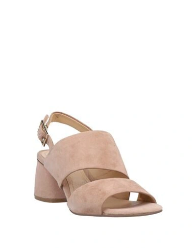 Shop Adele Dezotti Sandals In Pale Pink