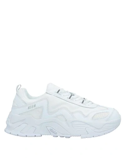 Shop Msgm Sneakers In White