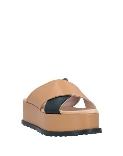 Tosca Blu Sandals In Brown