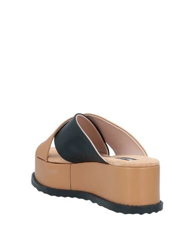 Tosca Blu Sandals In Brown