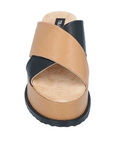 Tosca Blu Sandals In Brown