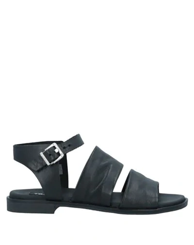 Shop Tosca Blu Woman Sandals Black Size 10 Soft Leather