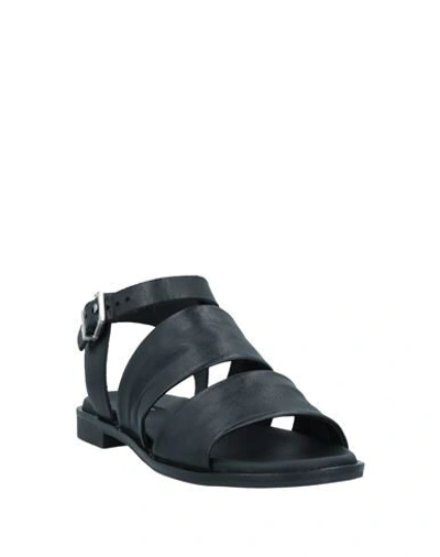 Shop Tosca Blu Woman Sandals Black Size 10 Soft Leather