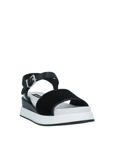 Tosca Blu Sandals In Black
