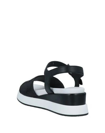 Shop Tosca Blu Woman Sandals Black Size 7 Soft Leather