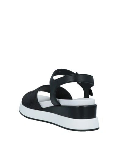 Tosca Blu Sandals In Black