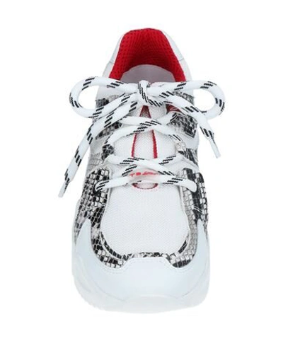 Tosca Blu Sneakers In White