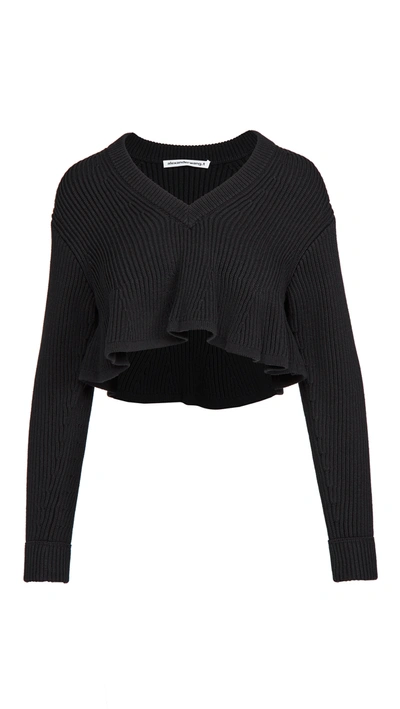 Shop Alexander Wang T Cropped V Neck Pullover In Black