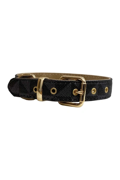 Shop Dogs Of Glamour Evelyn Luxury Collar In Blue