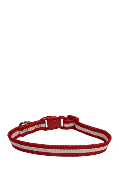 Shop Dogs Of Glamour Marco Collar In Red/white