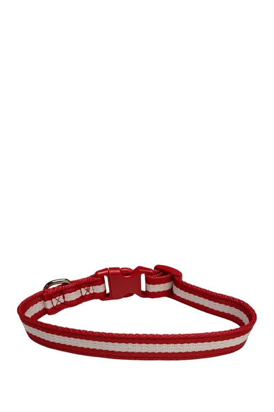 Shop Dogs Of Glamour Marco Collar Red/white
