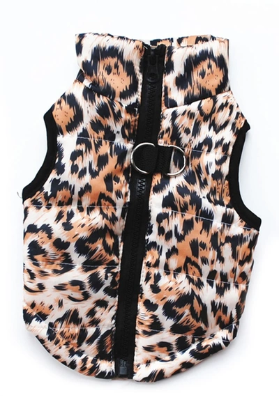 Shop Dogs Of Glamour Small Gold Leopard Vest
