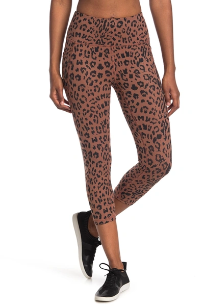 Shop X By Gottex Rachel Capri Leggings In Cheetah