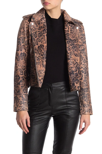 Walter baker deals leopard jacket