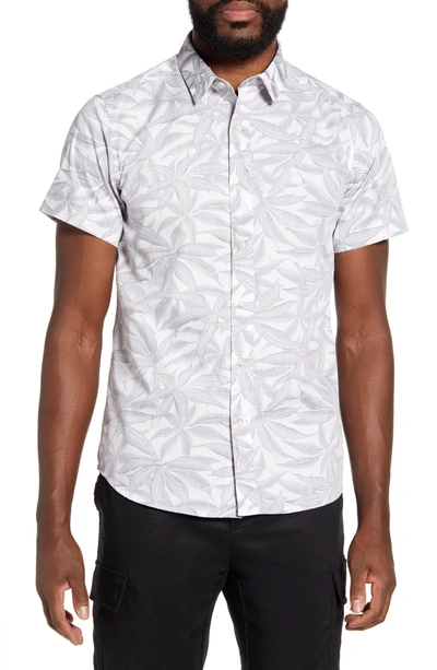 Shop Acyclic Reverse Palm Short Sleeve Button-up Shirt In White