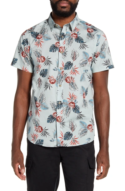 Shop Acyclic Short Sleeve Jungle Floral Slim Fit Shirt In Light Blue